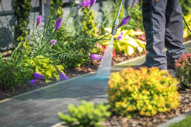 Best Post-Construction Pressure Washing  in Holtville, CA